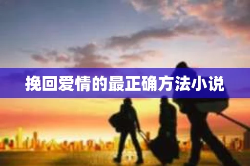 挽回爱情的最正确方法小说