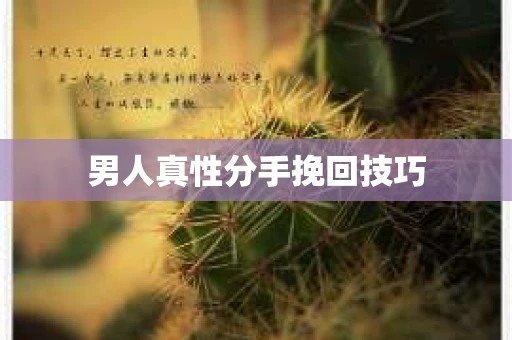 男人真性分手挽回技巧