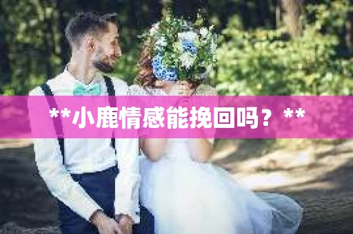 **小鹿情感能挽回吗？**