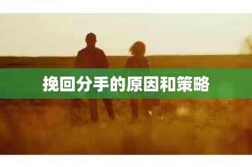 挽回分手的原因和策略