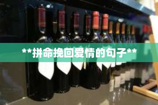 **拼命挽回爱情的句子**