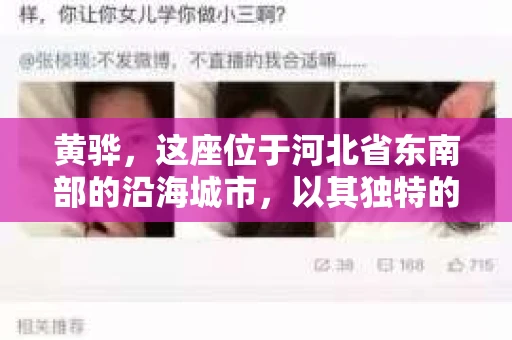 黄骅，这座位于河北省东南部的沿海城市，以其独特的地理位置和丰富的历史文化而闻名。然而，在这座城市中，还有一群人，他们以另一种方式默默守护着社会的公平与正义——私家侦探。今天，我们就来聊聊黄骅的私家侦探，看看他们是如何在这个城市中发挥作用的。