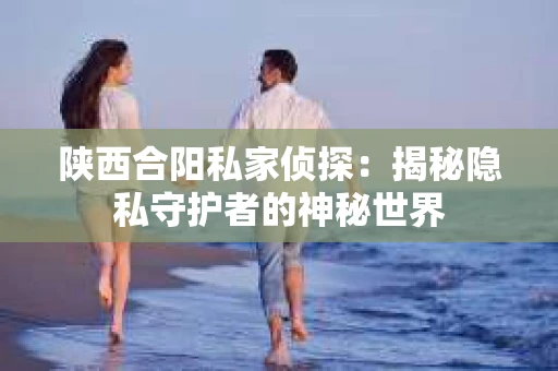 陕西合阳私家侦探：揭秘隐私守护者的神秘世界
