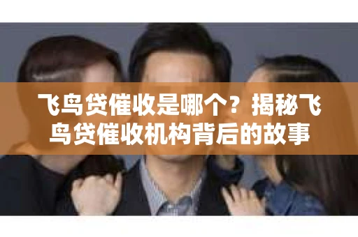 飞鸟贷催收是哪个？揭秘飞鸟贷催收机构背后的故事
