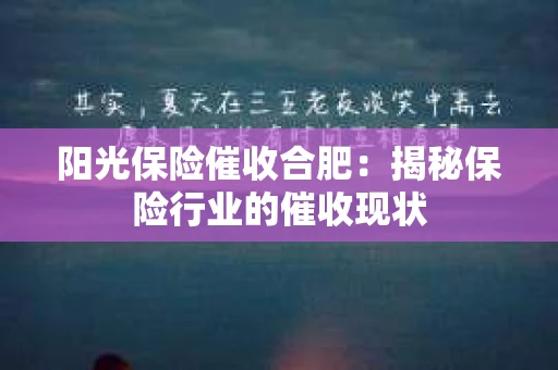 阳光保险催收合肥：揭秘保险行业的催收现状