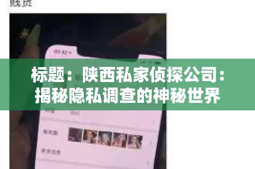 标题：陕西私家侦探公司：揭秘隐私调查的神秘世界