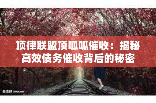 顶律联盟顶呱呱催收：揭秘高效债务催收背后的秘密