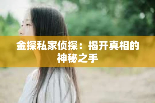 金探私家侦探：揭开真相的神秘之手