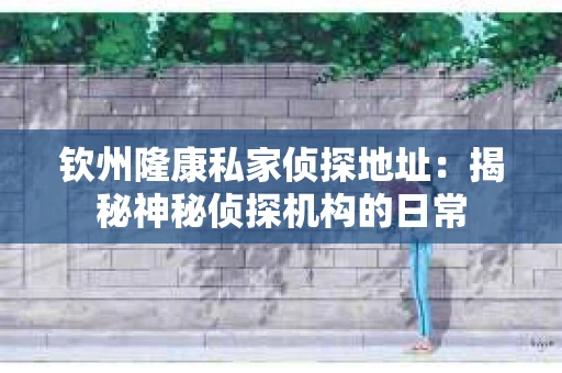 钦州隆康私家侦探地址：揭秘神秘侦探机构的日常
