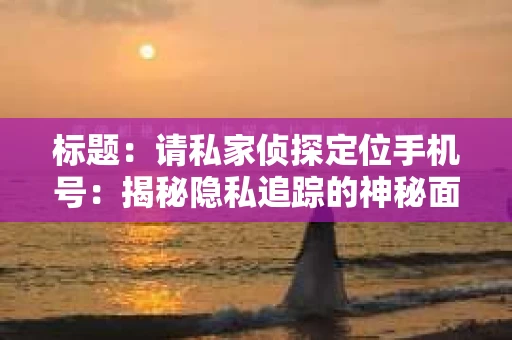 标题：请私家侦探定位手机号：揭秘隐私追踪的神秘面纱