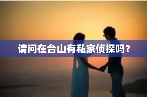 请问在台山有私家侦探吗？