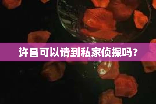 许昌可以请到私家侦探吗？