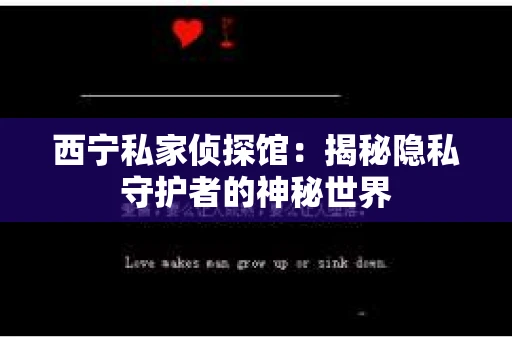 西宁私家侦探馆：揭秘隐私守护者的神秘世界
