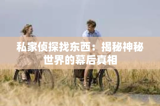 私家侦探找东西：揭秘神秘世界的幕后真相