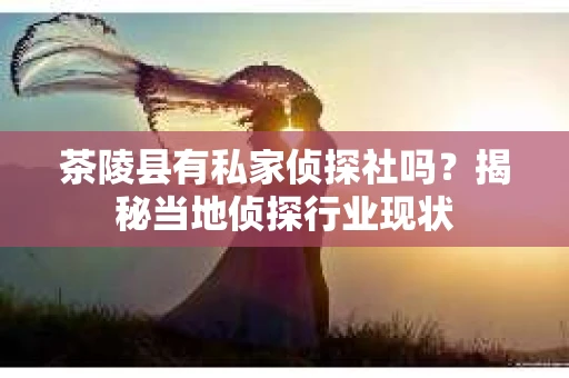 茶陵县有私家侦探社吗？揭秘当地侦探行业现状