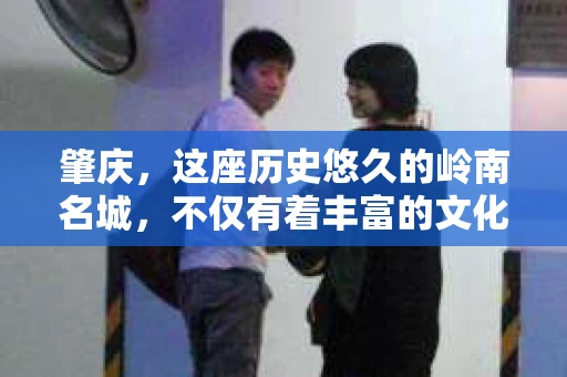 肇庆，这座历史悠久的岭南名城，不仅有着丰富的文化遗产，还有着独特的现代生活节奏。在这个城市里，你是否曾有过需要帮助解决一些棘手问题的时候？或许，你听说过肇庆有私家侦探，那么，他们究竟是怎样的存在呢？