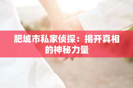 肥城市私家侦探：揭开真相的神秘力量