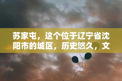 苏家屯，这个位于辽宁省沈阳市的城区，历史悠久，文化底蕴深厚。近年来，随着社会的发展，人们对于私家侦探的需求也逐渐增加。那么，苏家屯有私家侦探吗？今天，我们就来聊聊这个话题。