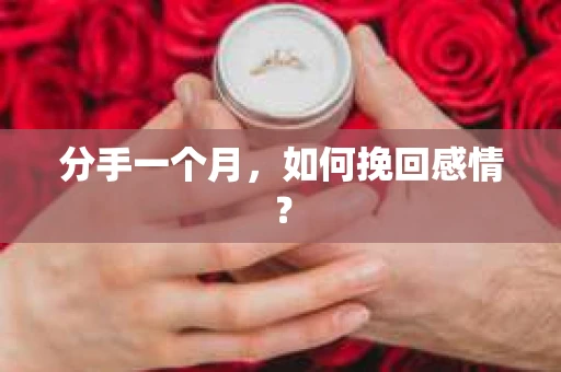 分手一个月,如何挽回感情? 分手一个月,如何挽回感情?