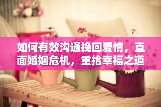 如何有效沟通挽回爱情，直面婚姻危机，重拾幸福之道