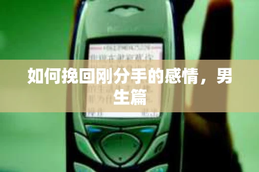 如何挽回刚分手的感情,男生篇 如何挽回刚分手的感情,男生篇