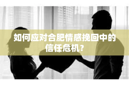 如何应对合肥情感挽回中的信任危机？