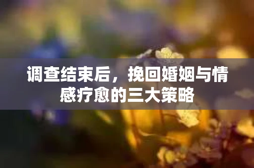 调查结束后，挽回婚姻与情感疗愈的三大策略