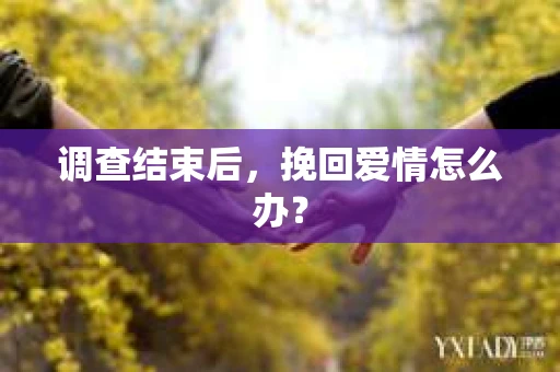 调查结束后，挽回爱情怎么办？